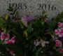 Filename=1011.jpg
Filesize=246KiB
Dimensions=1920x1080
Date added=Sep 04, 2016 1011.jpg