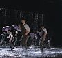 Filename=Glee207-01197.jpg
Filesize=134KiB
Dimensions=1280x720
Date added=Jul 09, 2011 Glee207-01197.jpg
