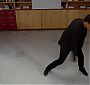 Filename=Glee417-0850.jpg
Filesize=114KiB
Dimensions=1920x1080
Date added=Jun 13, 2018 Glee417-0850.jpg