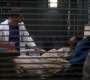 Filename=GA1413-01246.jpg
Filesize=453KiB
Dimensions=1280x720
Date added=Mar 03, 2018 GA1413-01246.jpg