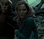 Filename=HPDH2-3690.jpg
Filesize=104KiB
Dimensions=1920x800
Date added=Oct 30, 2011 HPDH2-3690.jpg