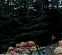 Filename=HPPoA3282.jpg
Filesize=202KiB
Dimensions=1920x800
Date added=Sep 01, 2010 HPPoA3282.jpg