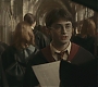 Filename=Halfblood-00962.jpg
Filesize=119KiB
Dimensions=1920x800
Date added=Sep 11, 2010 Halfblood-00962.jpg