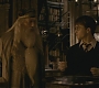 Filename=Halfblood-01156.jpg
Filesize=134KiB
Dimensions=1920x800
Date added=Sep 11, 2010 Halfblood-01156.jpg
