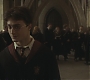 Filename=Halfblood-02401.jpg
Filesize=84KiB
Dimensions=1920x800
Date added=Sep 11, 2010 Halfblood-02401.jpg