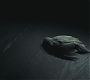 Filename=Halfblood-02806.jpg
Filesize=98KiB
Dimensions=1920x800
Date added=Sep 11, 2010 Halfblood-02806.jpg