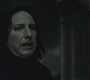 Filename=Halfblood-03954.jpg
Filesize=53KiB
Dimensions=1920x800
Date added=Sep 11, 2010 Halfblood-03954.jpg