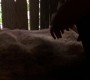 Filename=102Smallville1187.jpg
Filesize=44KiB
Dimensions=1280x720
Date added=Apr 23, 2012 102Smallville1187.jpg
