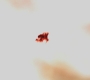 Filename=SPN_0001.jpg
Filesize=28KiB
Dimensions=1280x720
Date added=Sep 14, 2010 SPN_0001.jpg