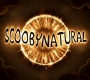 Filename=SPN_0387.jpg
Filesize=83KiB
Dimensions=1280x718
Date added=Mar 30, 2018 SPN_0387.jpg