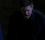 Filename=SPN_2021.jpg
Filesize=32KiB
Dimensions=1280x718
Date added=May 23, 2018 SPN_2021.jpg
