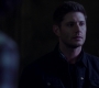 Filename=SPN_2029.jpg
Filesize=37KiB
Dimensions=1280x718
Date added=May 23, 2018 SPN_2029.jpg