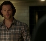 Filename=SPN_0594.jpg
Filesize=57KiB
Dimensions=1280x720
Date added=Dec 16, 2018 SPN_0594.jpg