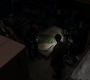 Filename=SPN_0790.jpg
Filesize=47KiB
Dimensions=1280x720
Date added=Dec 16, 2018 SPN_0790.jpg