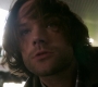 Filename=SPN_0837.jpg
Filesize=51KiB
Dimensions=1280x720
Date added=Dec 16, 2018 SPN_0837.jpg