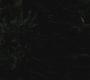 Filename=SPN_0025.jpg
Filesize=159KiB
Dimensions=1920x1080
Date added=Aug 17, 2010 SPN_0025.jpg