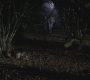 Filename=SPN_0046.jpg
Filesize=208KiB
Dimensions=1920x1080
Date added=Nov 20, 2011 SPN_0046.jpg