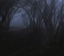 Filename=SPN_0072.jpg
Filesize=199KiB
Dimensions=1920x1080
Date added=Nov 20, 2011 SPN_0072.jpg