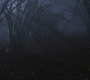 Filename=SPN_0076.jpg
Filesize=198KiB
Dimensions=1920x1080
Date added=Nov 20, 2011 SPN_0076.jpg