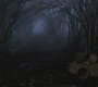 Filename=SPN_0077.jpg
Filesize=208KiB
Dimensions=1920x1080
Date added=Nov 20, 2011 SPN_0077.jpg