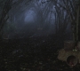 Filename=SPN_0083.jpg
Filesize=201KiB
Dimensions=1920x1080
Date added=Nov 20, 2011 SPN_0083.jpg