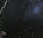 Filename=SPN_0086.jpg
Filesize=204KiB
Dimensions=1920x1080
Date added=Nov 20, 2011 SPN_0086.jpg