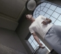 Filename=SPN_0054.jpg
Filesize=102KiB
Dimensions=1280x720
Date added=Feb 15, 2010 SPN_0054.jpg