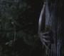 Filename=SPN_0021.jpg
Filesize=98KiB
Dimensions=1920x1080
Date added=Jul 04, 2012 SPN_0021.jpg