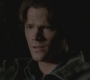 Filename=SPN_0081.jpg
Filesize=108KiB
Dimensions=1920x1080
Date added=Jul 19, 2012 SPN_0081.jpg