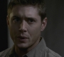 Filename=SPN_0077.jpg
Filesize=59KiB
Dimensions=1280x720
Date added=Feb 08, 2011 SPN_0077.jpg