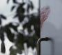 Filename=SPN_0081.jpg
Filesize=265KiB
Dimensions=1920x1080
Date added=Aug 31, 2012 SPN_0081.jpg