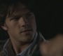 Filename=SPN_0090.jpg
Filesize=60KiB
Dimensions=1280x720
Date added=Jan 22, 2010 SPN_0090.jpg