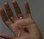 Filename=SPN_0032.jpg
Filesize=70KiB
Dimensions=1280x720
Date added=Jan 23, 2010 SPN_0032.jpg