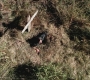 Filename=SPN_0020.jpg
Filesize=483KiB
Dimensions=1280x720
Date added=Jan 23, 2010 SPN_0020.jpg