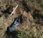 Filename=SPN_0027.jpg
Filesize=459KiB
Dimensions=1280x720
Date added=Jan 23, 2010 SPN_0027.jpg