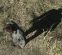 Filename=SPN_0037.jpg
Filesize=213KiB
Dimensions=1280x720
Date added=Jan 23, 2010 SPN_0037.jpg