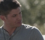 Filename=SPN_1185.jpg
Filesize=79KiB
Dimensions=1280x720
Date added=Jan 27, 2010 SPN_1185.jpg