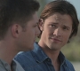Filename=SPN_1187.jpg
Filesize=72KiB
Dimensions=1280x720
Date added=Jan 27, 2010 SPN_1187.jpg