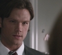 Filename=SPN_0079.jpg
Filesize=59KiB
Dimensions=1280x720
Date added=Jan 27, 2010 SPN_0079.jpg