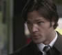 Filename=SPN_0088.jpg
Filesize=68KiB
Dimensions=1280x720
Date added=Oct 05, 2010 SPN_0088.jpg