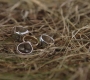 Filename=SPN_1091.jpg
Filesize=136KiB
Dimensions=1280x720
Date added=May 14, 2010 SPN_1091.jpg