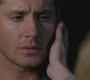Filename=SPN_1465.jpg
Filesize=56KiB
Dimensions=1280x720
Date added=Oct 15, 2011 SPN_1465.jpg