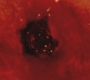Filename=SPN_0003.jpg
Filesize=41KiB
Dimensions=1280x720
Date added=Dec 03, 2011 SPN_0003.jpg