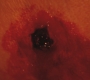 Filename=SPN_0004.jpg
Filesize=42KiB
Dimensions=1280x720
Date added=Dec 03, 2011 SPN_0004.jpg