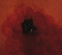 Filename=SPN_0026.jpg
Filesize=42KiB
Dimensions=1280x720
Date added=Dec 03, 2011 SPN_0026.jpg