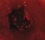 Filename=SPN_0027.jpg
Filesize=42KiB
Dimensions=1280x720
Date added=Dec 03, 2011 SPN_0027.jpg