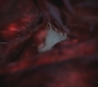 Filename=SPN_0028.jpg
Filesize=45KiB
Dimensions=1280x720
Date added=Dec 03, 2011 SPN_0028.jpg