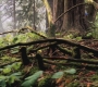 Filename=SPN_0030.jpg
Filesize=207KiB
Dimensions=1280x720
Date added=Dec 03, 2011 SPN_0030.jpg