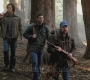 Filename=SPN_0032.jpg
Filesize=153KiB
Dimensions=1280x720
Date added=Dec 03, 2011 SPN_0032.jpg