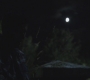 Filename=SPN_0097.jpg
Filesize=32KiB
Dimensions=1280x720
Date added=Oct 04, 2012 SPN_0097.jpg